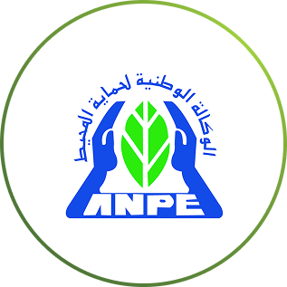LOGO ANPE